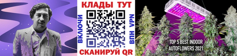 Что такое Камышин Alpha-PVP  Меф  ГАШИШ 