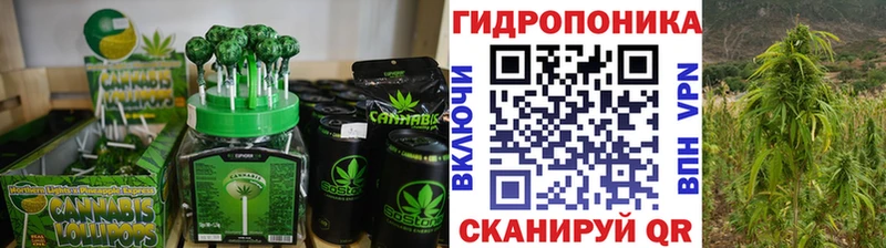 купить закладку  Камышин  Canna-Cookies марихуана 