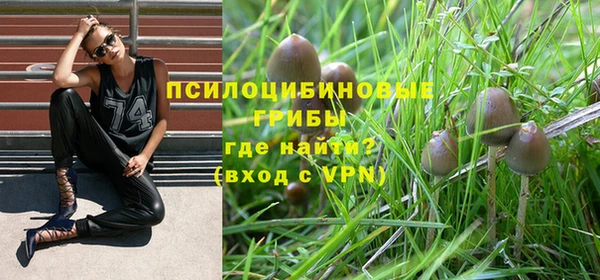 бошки Алексеевка