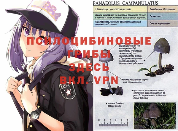 экстази Алзамай