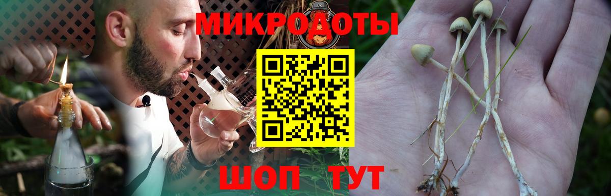 Галлюциногенные грибы Cubensis  Псилоцибиновые грибы мицелий  Камышин  купить закладку  Вход с VPN 